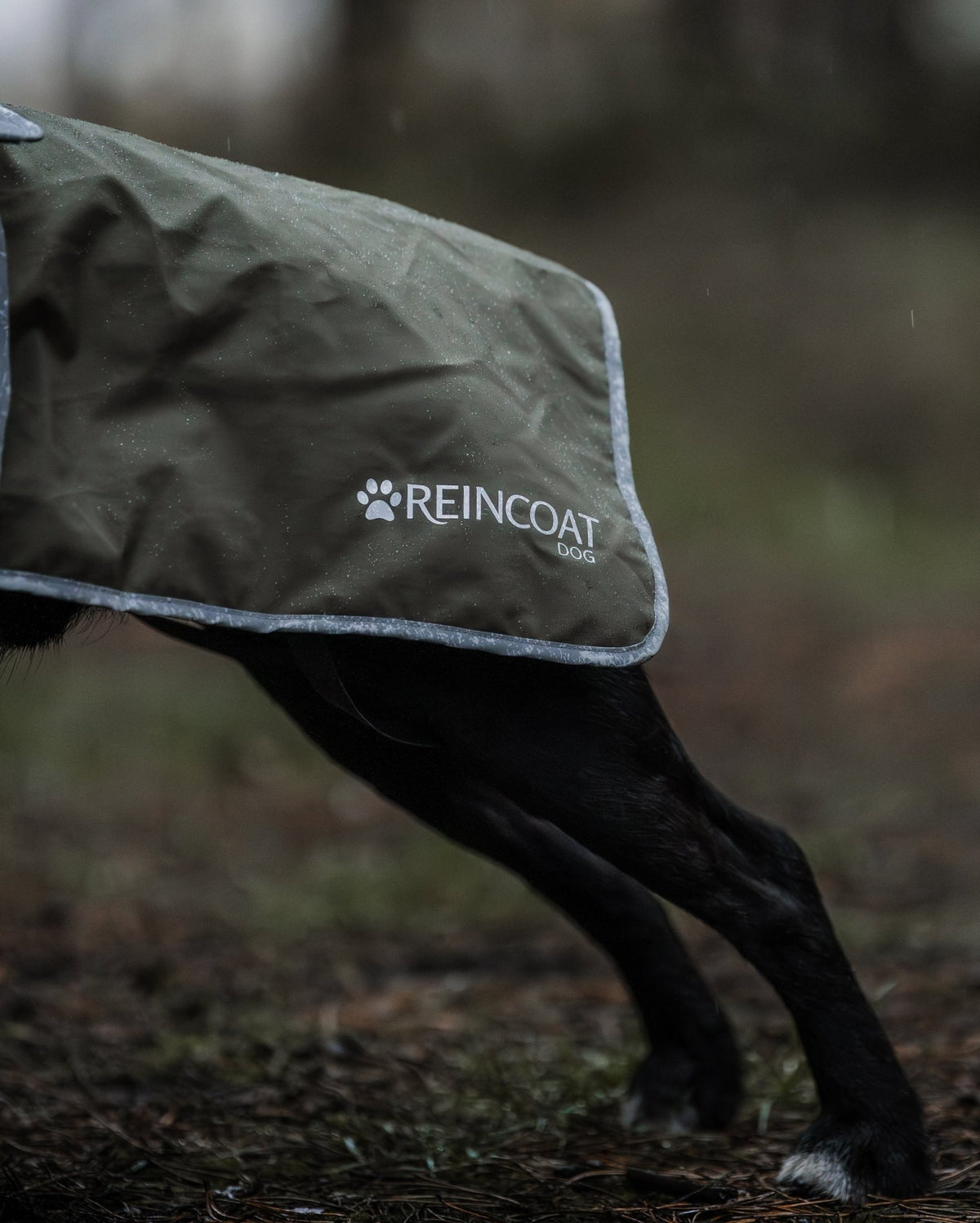 Reincoat Dog - Olive - Reincoat